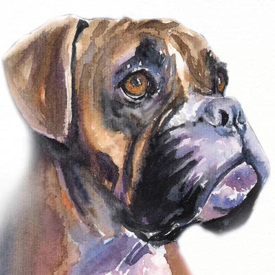 Boxer In The Mist by George Dyachenko canvas print