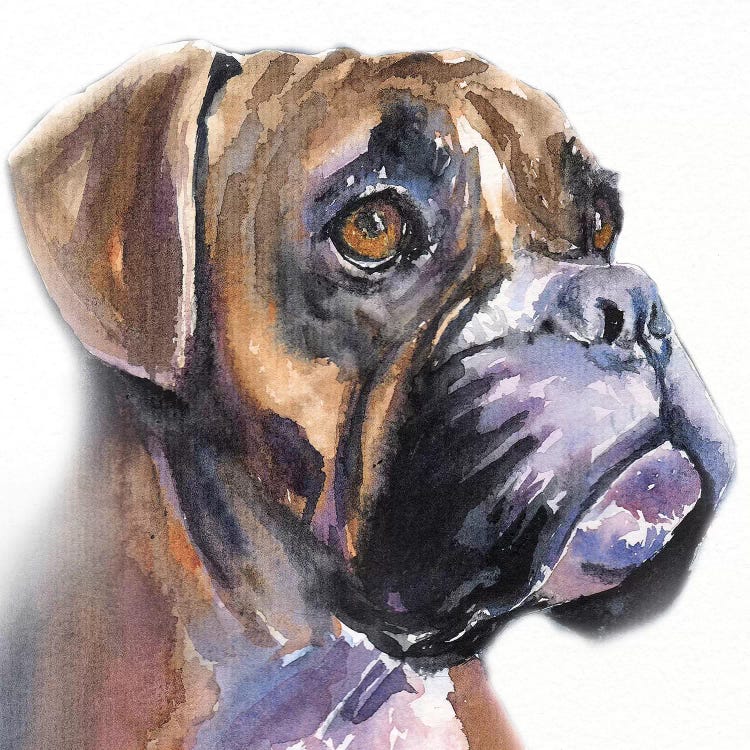 Boxer In The Mist by George Dyachenko wall art