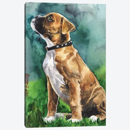 Boxer Puppy I Canvas Print #GDY202} by George Dyachenko Canvas Artwork