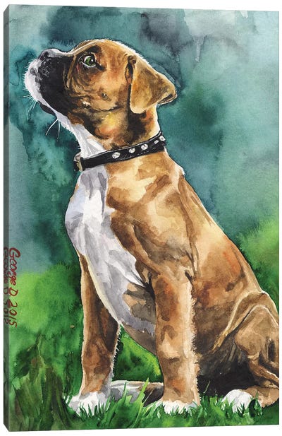 Boxer Puppy I Canvas Art Print - Puppy Art
