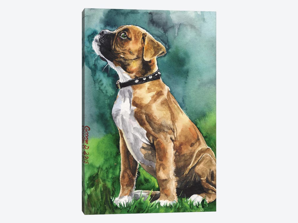 Boxer Puppy I by George Dyachenko 1-piece Canvas Art Print
