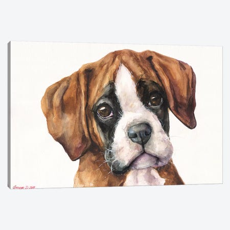 Boxer Puppy II Canvas Print #GDY203} by George Dyachenko Canvas Art