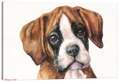 Boxer Puppy II Canvas Art Print - Puppy Art