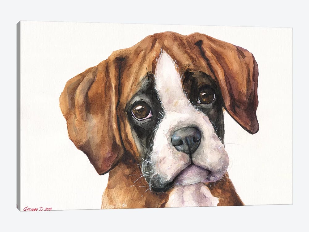 Boxer Puppy II by George Dyachenko 1-piece Canvas Artwork
