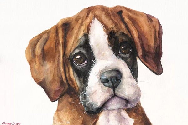 Boxers: Boxer Puppy II by George Dyachenko