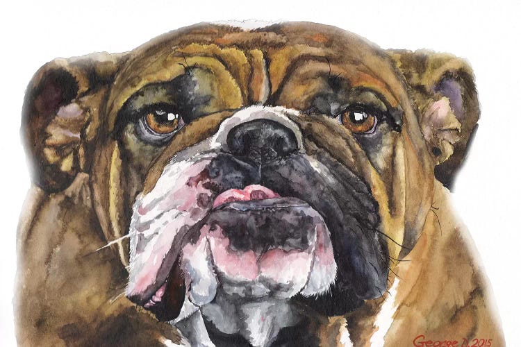 Bulldog II by George Dyachenko wall art