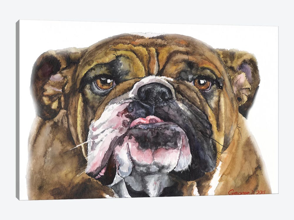 Bulldog II by George Dyachenko 1-piece Art Print