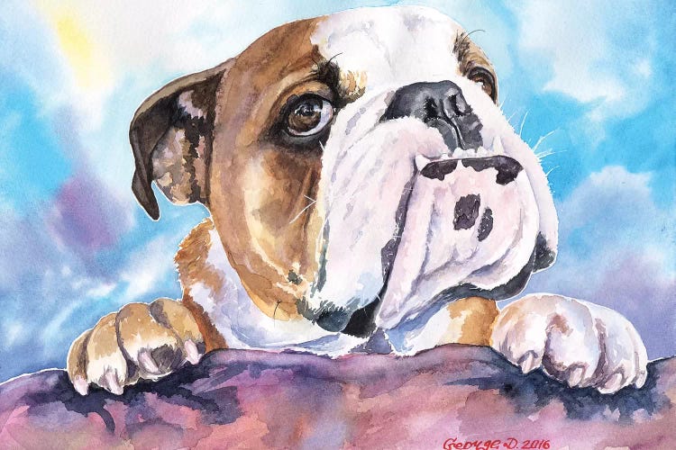 Bulldog Cute by George Dyachenko wall art