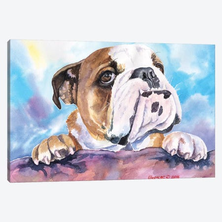 Bulldog Cute Canvas Print #GDY205} by George Dyachenko Canvas Art Print