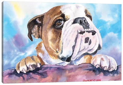 Bulldog Cute Canvas Art Print - George Dyachenko