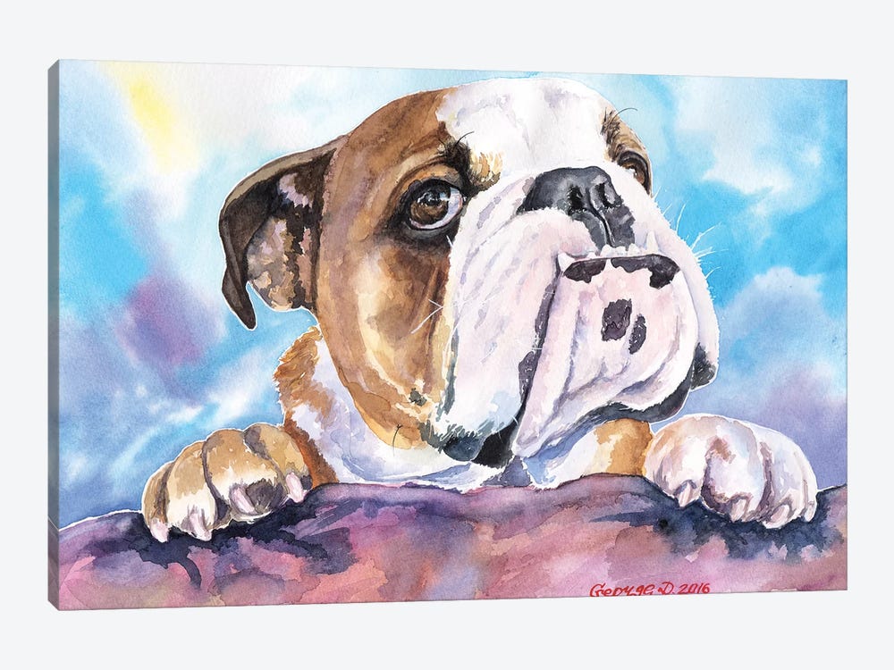 Bulldog Cute by George Dyachenko 1-piece Canvas Art