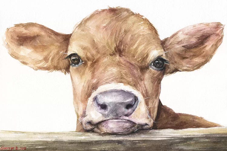 Calf by George Dyachenko canvas print