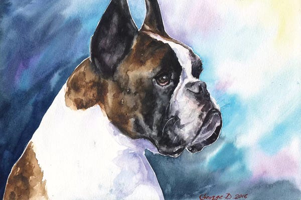 Boxers: Boxer by George Dyachenko