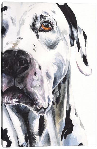 Dalmatian II Canvas Art Print - George Dyachenko