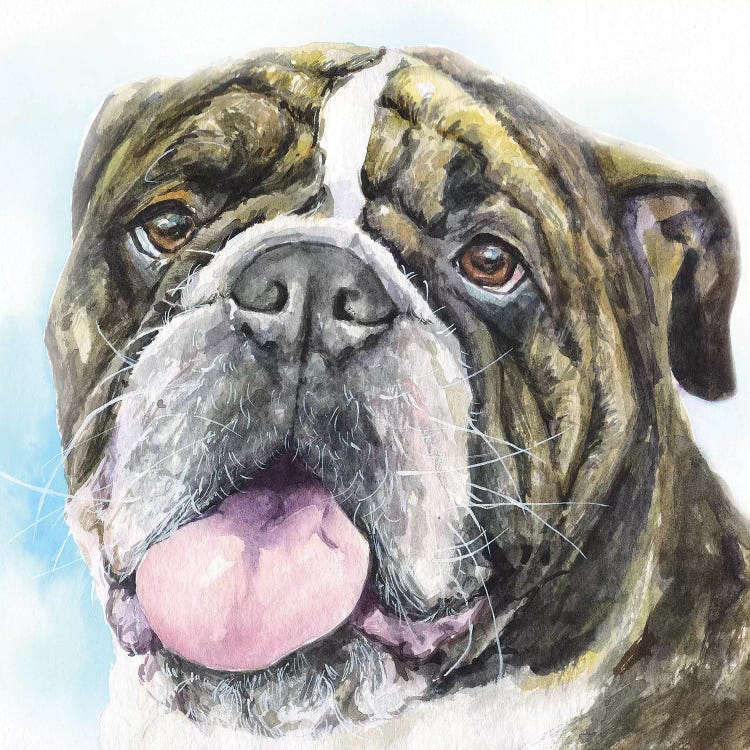 English Bulldog I by George Dyachenko wall art
