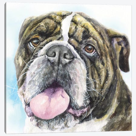 English Bulldog I Canvas Print #GDY215} by George Dyachenko Canvas Art