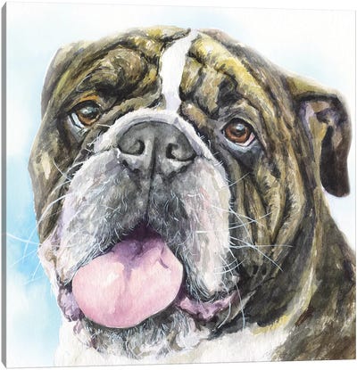 English Bulldog I Canvas Art Print - Bulldog Art