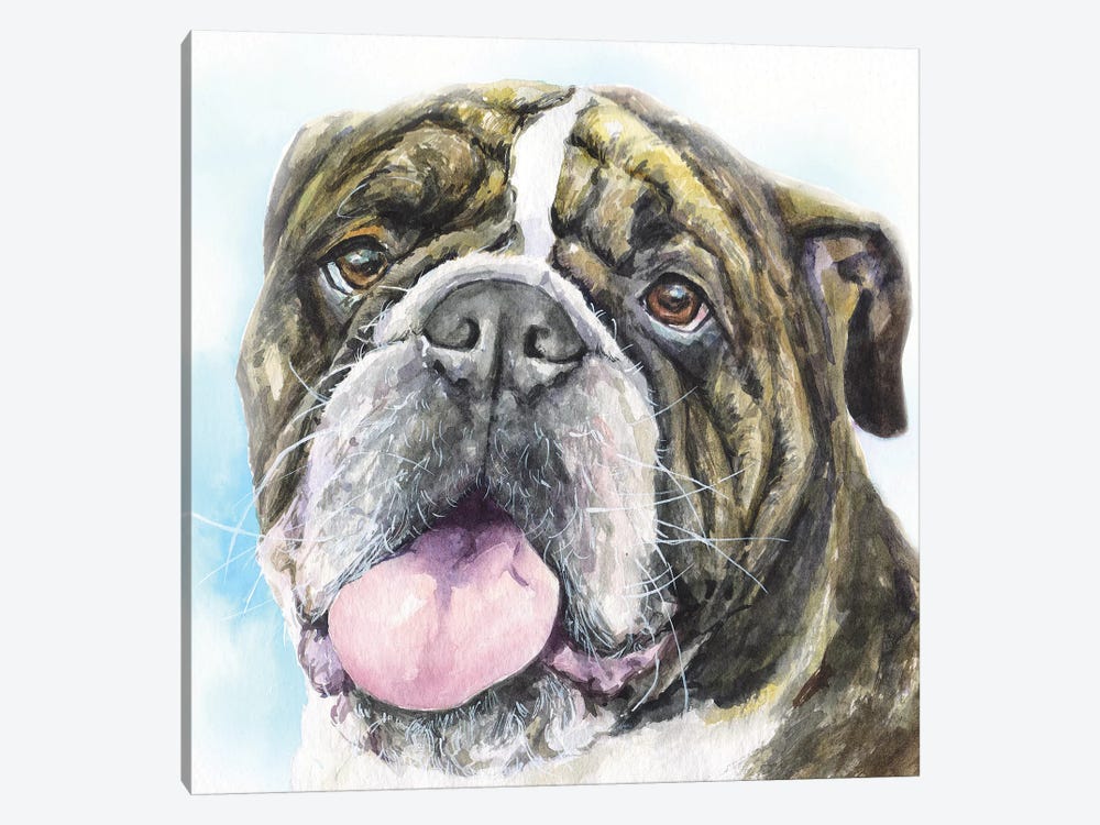 English Bulldog I by George Dyachenko 1-piece Canvas Print