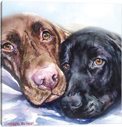 Friends Canvas Art Print - Labrador Retriever Art
