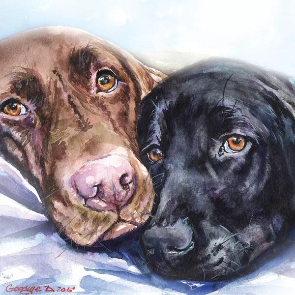 Labrador Retrievers: Friends by George Dyachenko