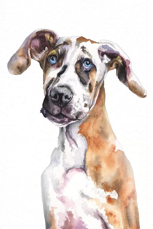 Great Dane Puppy by George Dyachenko wall art