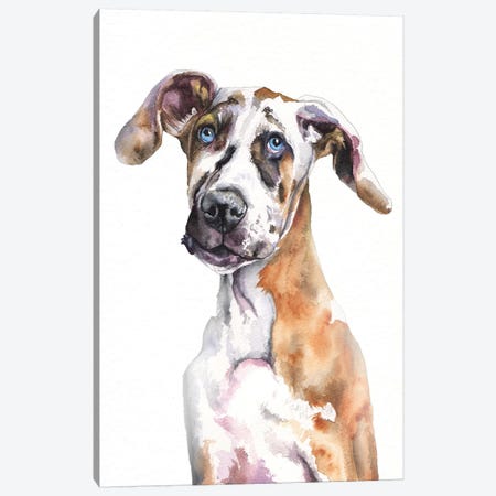 Great Dane Puppy Canvas Print #GDY219} by George Dyachenko Canvas Art Print
