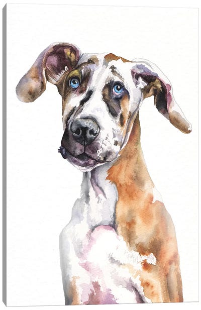 Great Dane Puppy Canvas Art Print - Great Dane Art