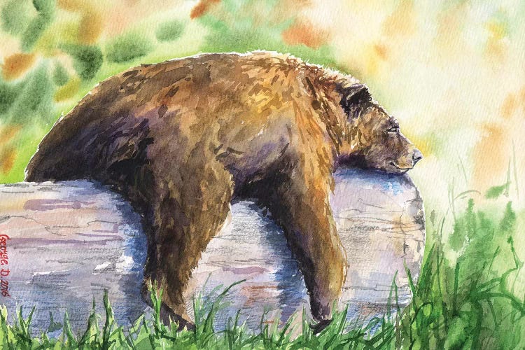 Grizzly by George Dyachenko wall art