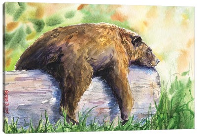 Grizzly Canvas Art Print - Grizzly Bear Art