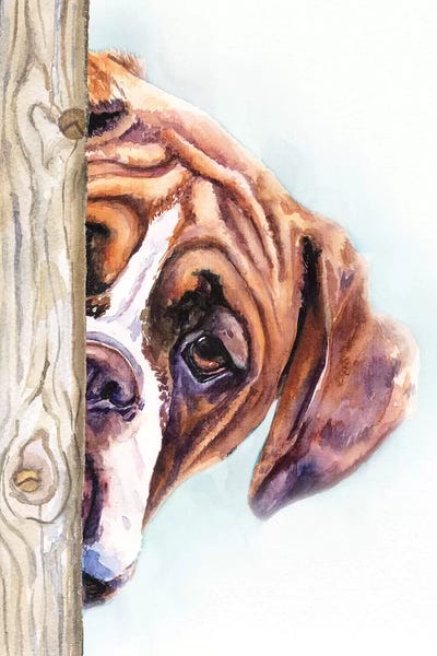 Hide And Seek II by George Dyachenko acrylic art print