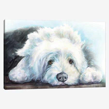 Old English Sheepdog Puppy Canvas Print #GDY224} by George Dyachenko Canvas Print