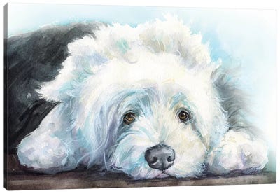 Old English Sheepdog Puppy Canvas Art Print - George Dyachenko