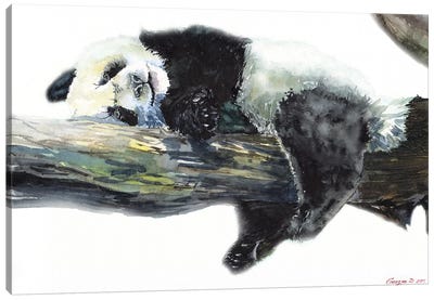 Panda Canvas Art Print - George Dyachenko