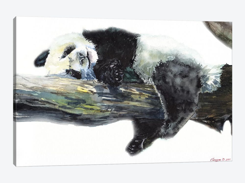 Panda by George Dyachenko 1-piece Canvas Artwork