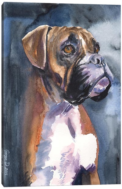 Boxer In The Mist Canvas Art Print - George Dyachenko