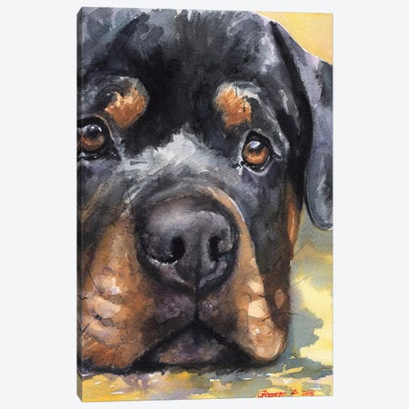Rottweiler Canvas Print #GDY230} by George Dyachenko Art Print