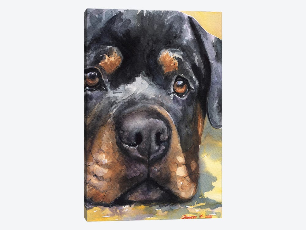 Rottweiler by George Dyachenko 1-piece Canvas Artwork