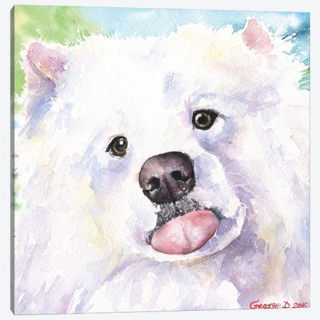 Samoyed Canvas Print #GDY231} by George Dyachenko Canvas Print