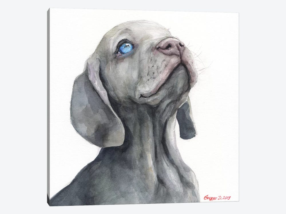 Weimaraner Puppy by George Dyachenko 1-piece Canvas Art Print