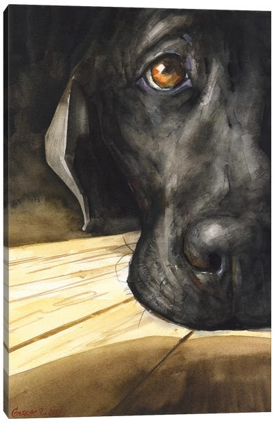 Labrador Canvas Art Print - George Dyachenko