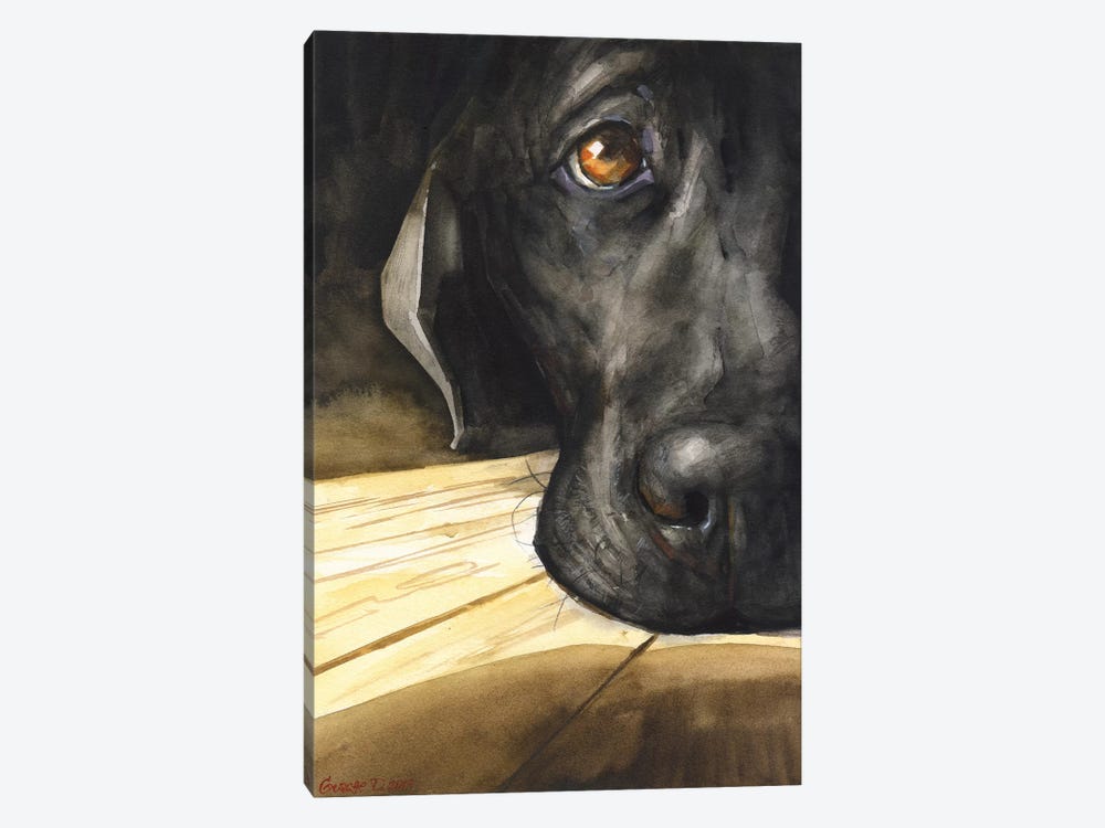 Labrador by George Dyachenko 1-piece Canvas Art