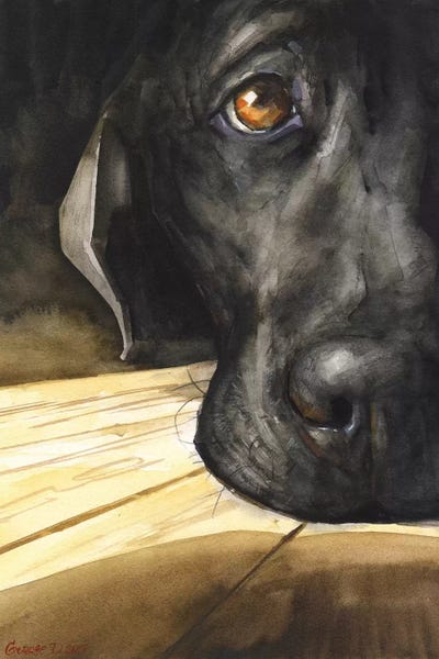 Labrador Retrievers: Labrador by George Dyachenko