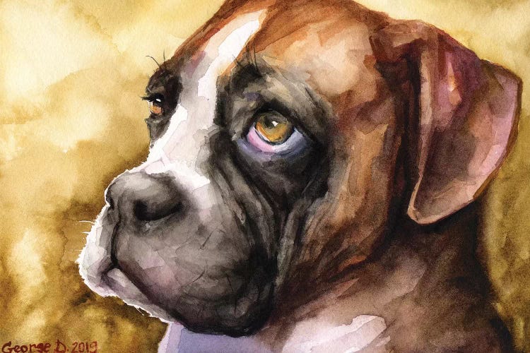 Boxer Puppy by George Dyachenko wall art