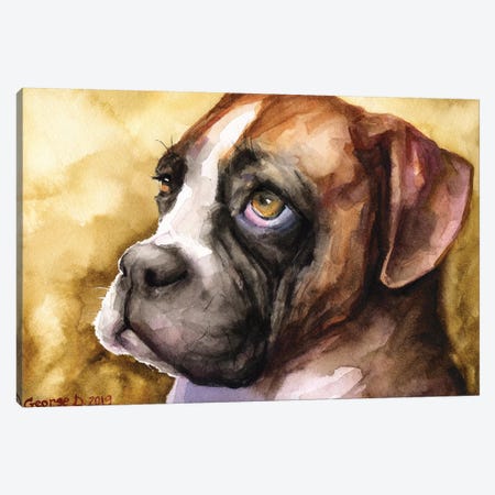 Boxer Puppy Canvas Print #GDY235} by George Dyachenko Canvas Artwork