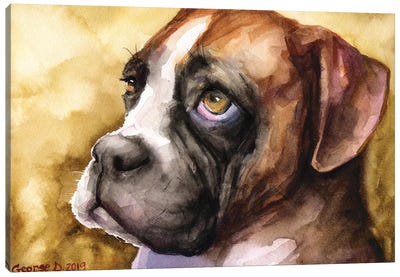 Boxer Puppy Canvas Art Print - George Dyachenko
