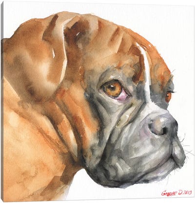 Boxer Canvas Art Print - Boxer Art