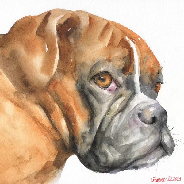 Boxers: Boxer by George Dyachenko