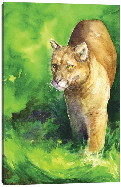 Mountain Lion Canvas Art Print - George Dyachenko
