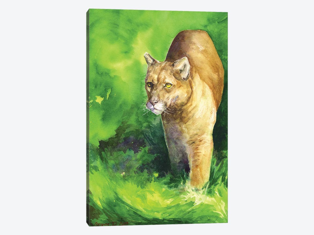 Mountain Lion by George Dyachenko 1-piece Canvas Print