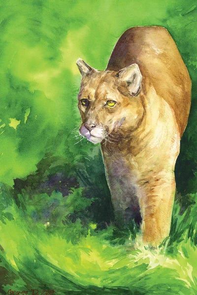 Cougars: Mountain Lion by George Dyachenko